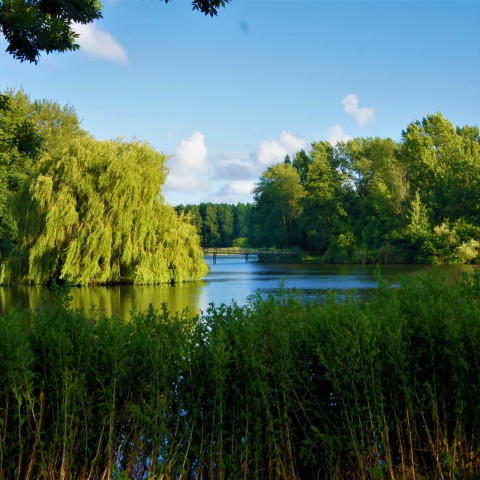 Klimaat en natuur in Oostenrijk 