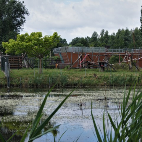 Zomerfestival op Stadslandgoed De Kemphaan
