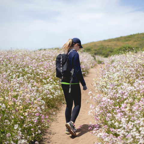 Leuke wandelroute in Almere Haven