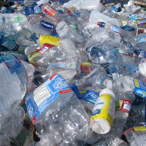Plastic etende bacteriën passen zich aan