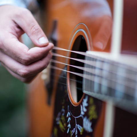 Internationale Countrymuziek dag