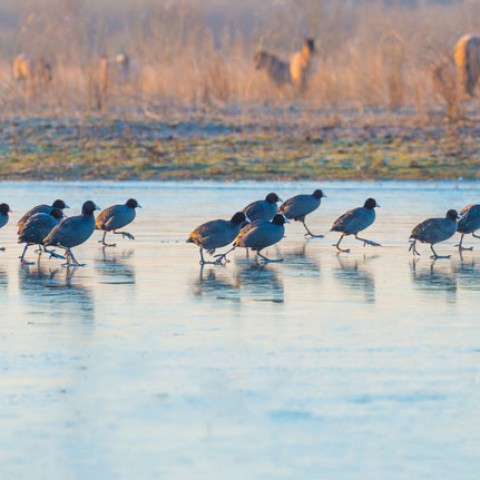 Wandelen en fietsen door de natuur