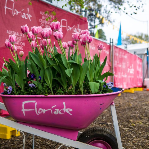 Floriade als proeftuin voor Almere van de toekomst
