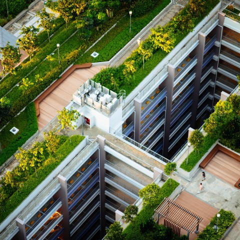 Groene daken in Almere
