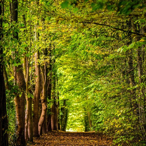 Bijzondere bomen- en planten bibliotheek op Floriade bijna klaar