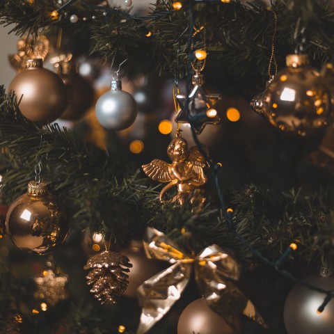 Kerstboom thuisbezorgd?
