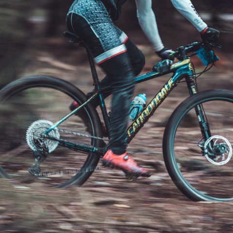 De derde editie van Crossen door de Bossen gaat van start