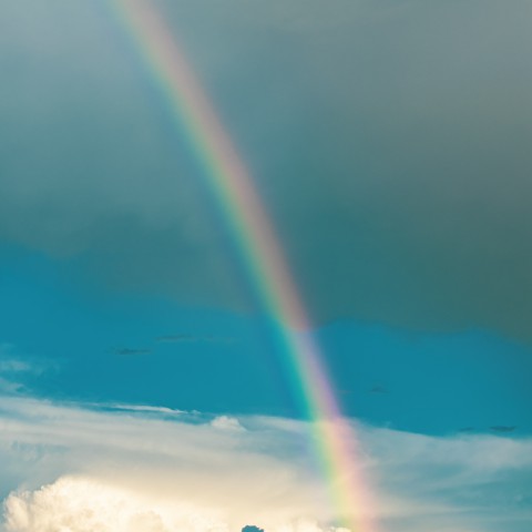 Weetjes over de Regenboog