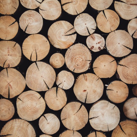 SP: Strijd voor de bomen gaat door