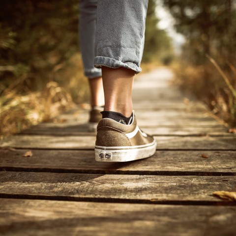Muziekwandeling in het Kathedralenbos