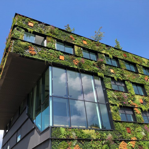 Live: Anders werken in een Groene Stad vanuit Food Forum