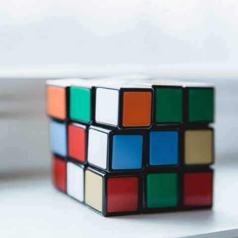 Het is vandaag Internationale Puzzeldag
