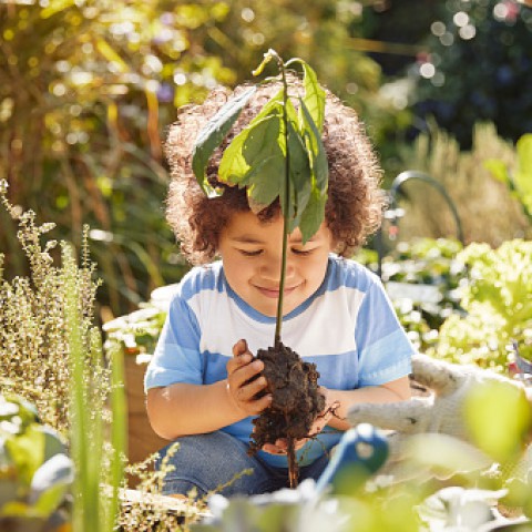 Nieuwe gevarieerde beplanting langs Schollevaarweg