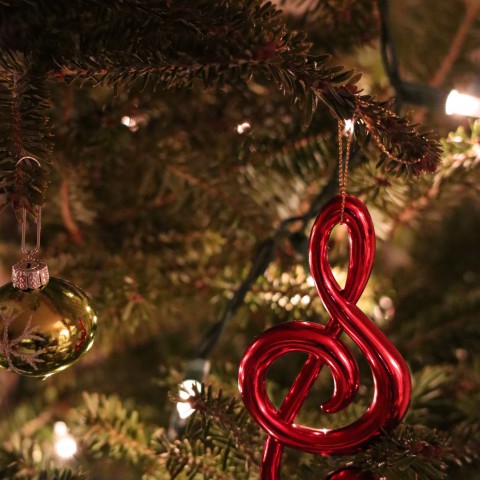 Wil jij graag je kerstboom thuisbezorgd krijgen?