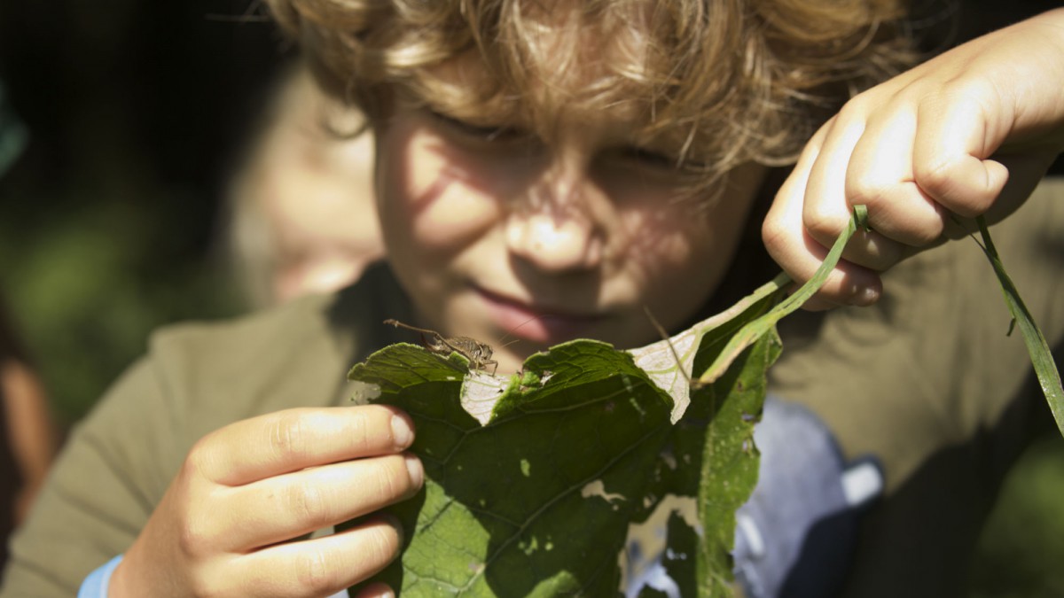 IVN Flevoland zoekt kinderdirecteuren Natuur & Duurzaamheid