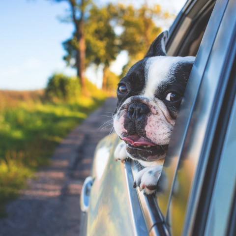  3 Tips voor een soepelere autovakantie