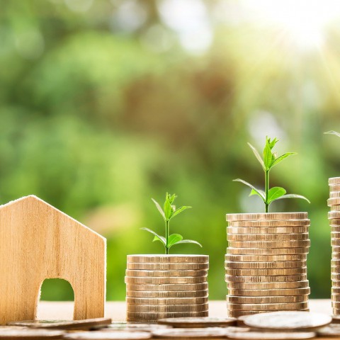 Huiseigenaren vragen massaal subsidie aan door stijgende energieprijzen