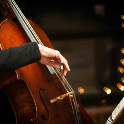 Internationale dag van de Cello