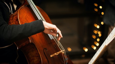 Internationale dag van de Cello