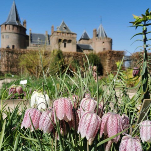 Voorjaarsvakantie bij Rijksmuseum Muiderslot