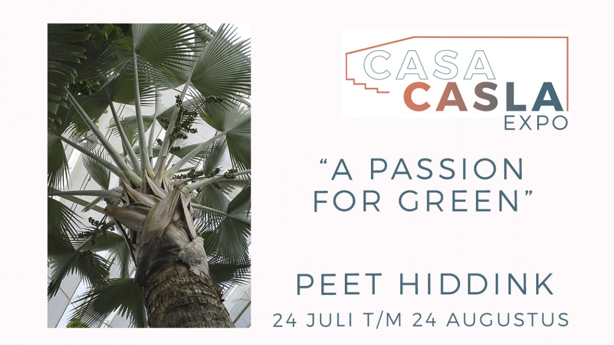 Foto-expositie Peet Hiddink in Casa Casla
