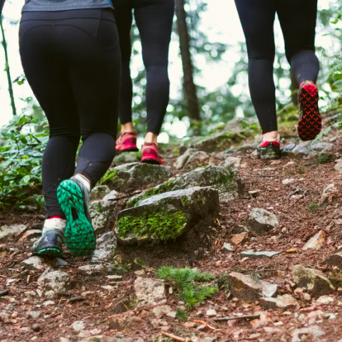 Een work-out in het bos
