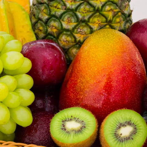 Fruithal Smits: De fruittuin van Flevoland
