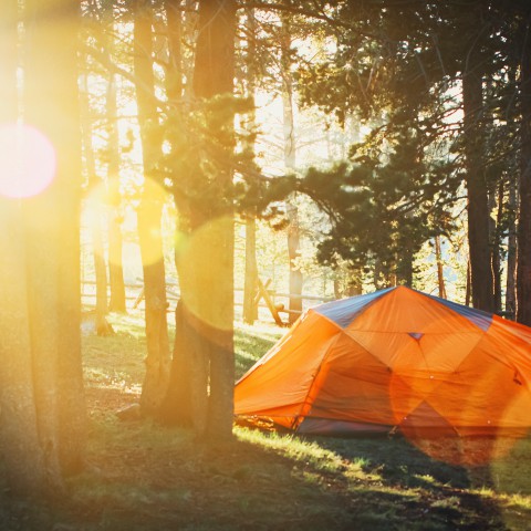 Dé eerste camping in Nederland voor LHBTIQ+ kinderen/jongeren opent haar tentdeuren tijdens Pride Week