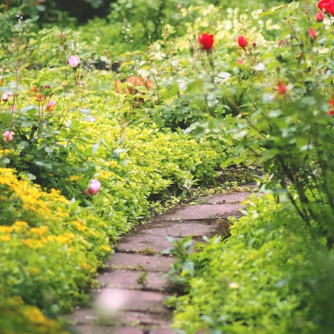 Open Tuinenroute in Nobelhorst