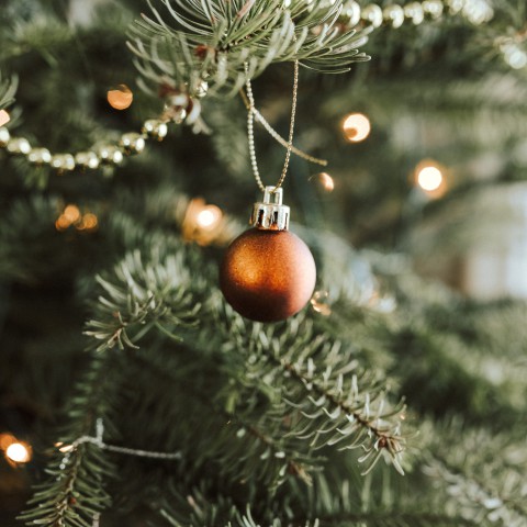 Help, mijn Kerstboom valt uit!