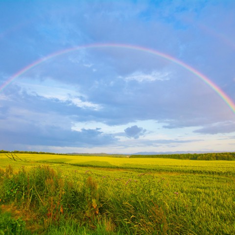 Hoe ontstaan regenbogen?