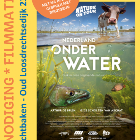 Ontdek Nederland onder water