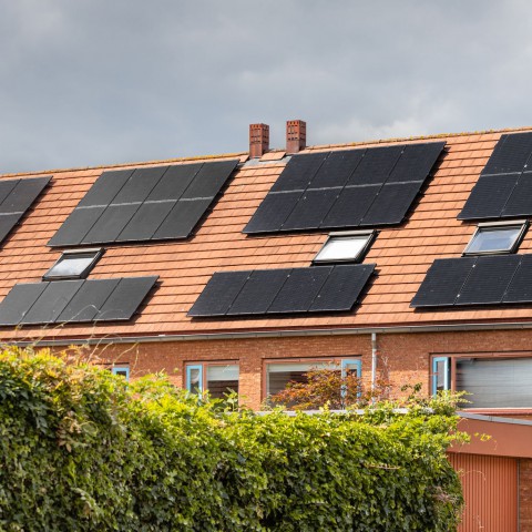 Flevolanders meest optimistisch over eigen bijdrage klimaat