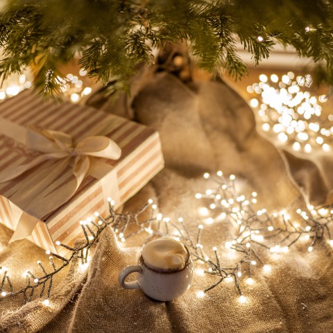 Kies voor LED-feestverlichting!