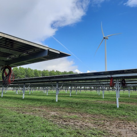 Zonnepark Symbizon krijgt vorm