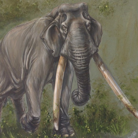 Tentoonstelling Oostvaardersplassen 120.000 jaar geleden
