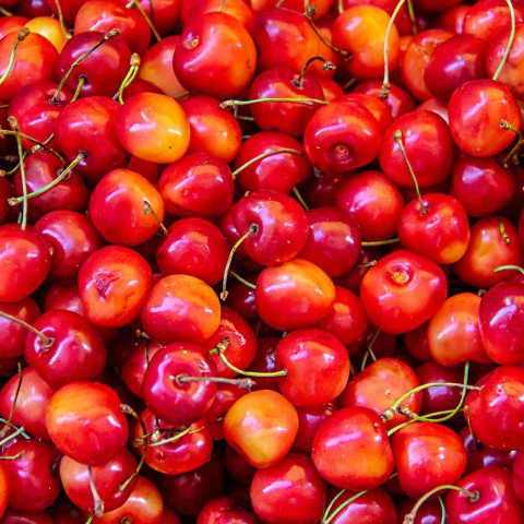 Wat is er in het seizoen in april qua fruit?