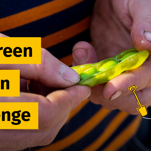 The Green Protein Challenge
