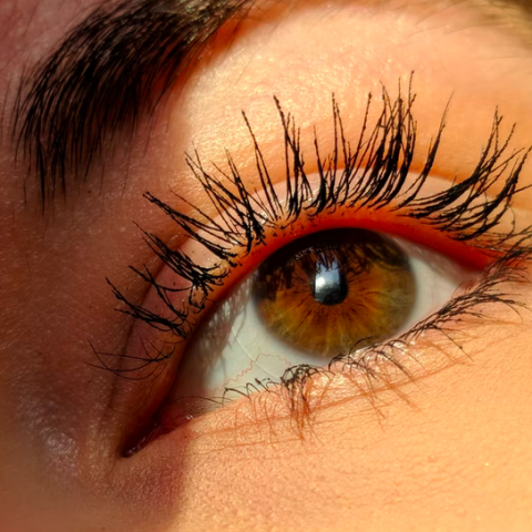 Vandaag is het National Lash Day