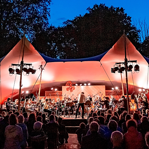 Internationale topmusici op negende editie van buitenfestival Wonderfeel