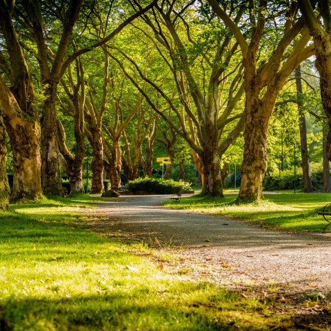 Unieke Nationaal Park-experience