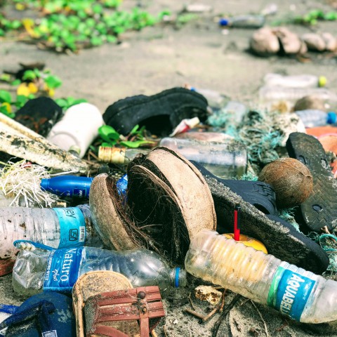 World Cleanup Day 2022