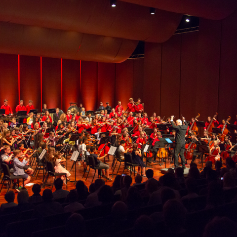Wervelend slotconcert van stichting AJSO