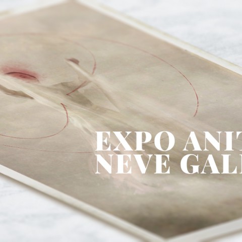 Bekroonde fotoserie 'The Anatomy of Love’ te zien in Almere