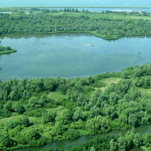 Nieuwe Natura 2000 beheerplan Lepelaarplassen vastgesteld