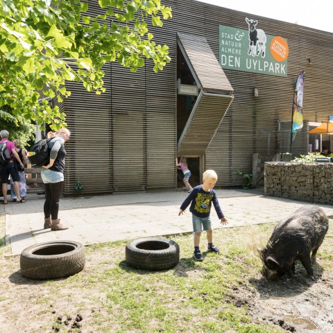 De lente vieren tussen de dieren