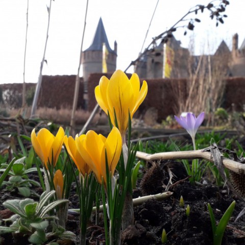 Voorjaarsvakantie bij Rijksmuseum Muiderslot