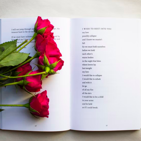 Quotes voor Valentijns dag!