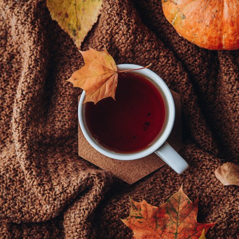 Decoreer je huis: Herfst thema
