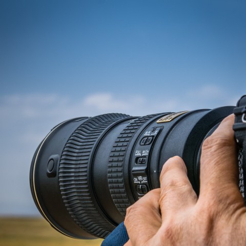 Een fotosafari in de Oostvaardersplassen!